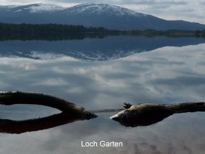 Loch Garten